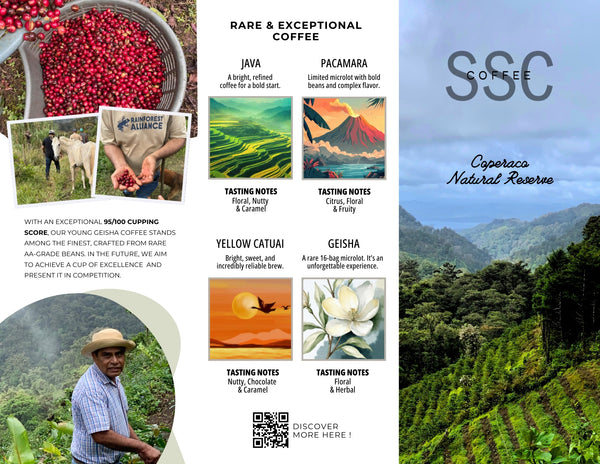 Nicaragua Geisha - 8oz