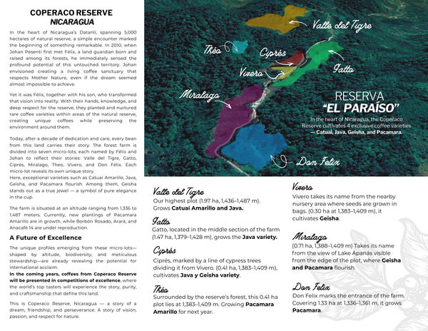 Nicaragua Geisha - 8oz