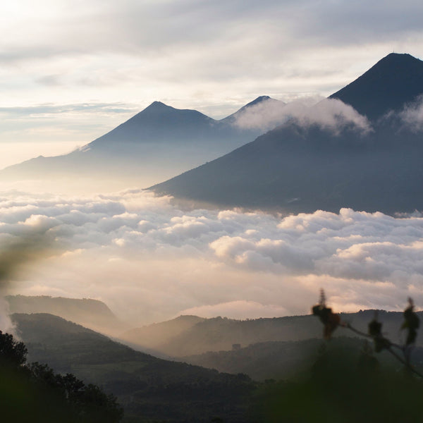 Guatemalan