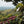 Guatemalan
