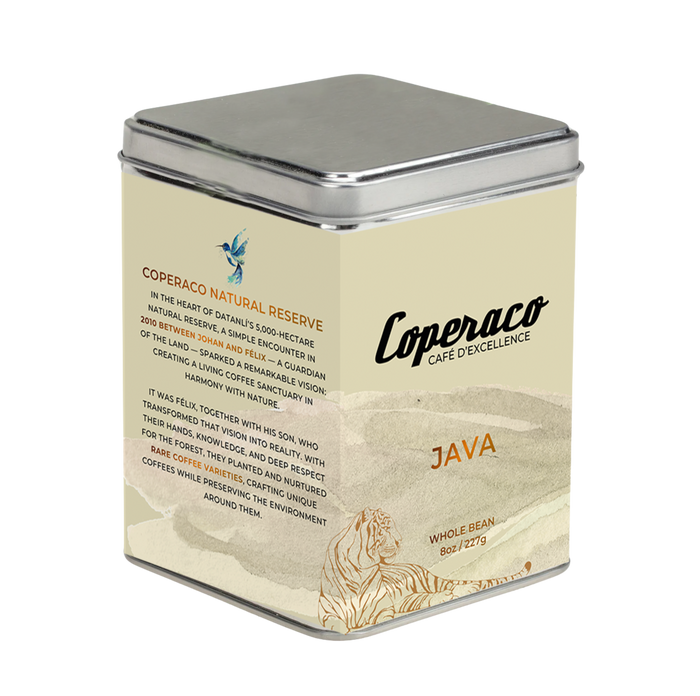 Java