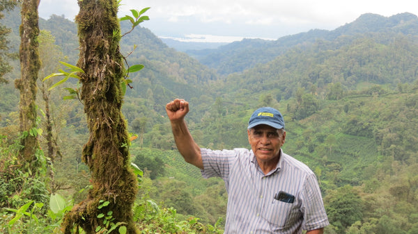 Nicaragua Geisha - 8oz