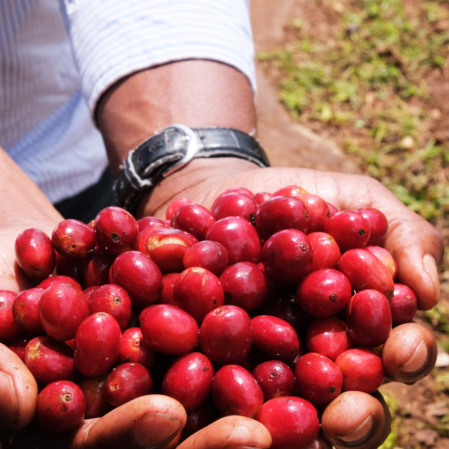 What Makes a Brand Organic Certified?